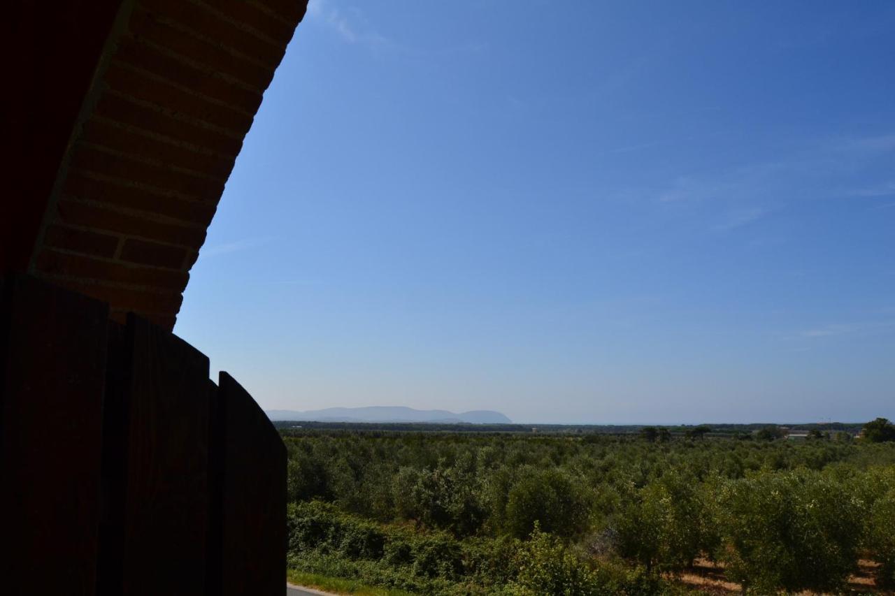 Podere San Giuseppe Сан Винченцо Екстериор снимка