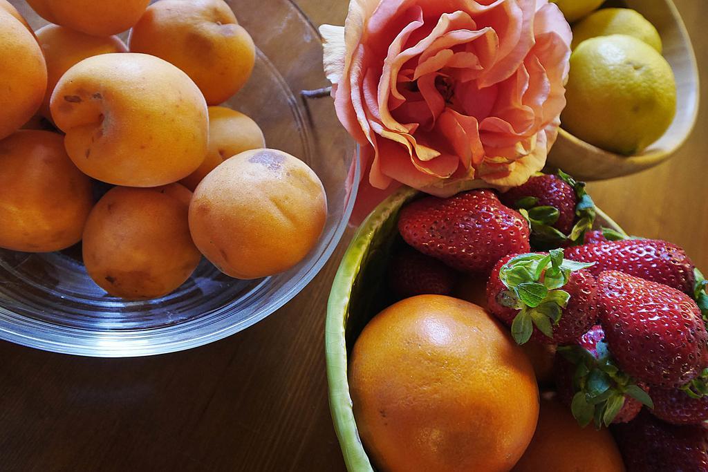 Podere San Giuseppe Сан Винченцо Екстериор снимка